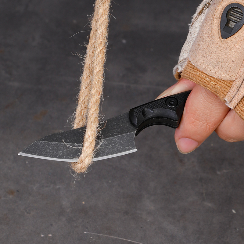 5CR15 Stainless Steel Small Fi - đánh giá và giá Edc Carry Fixed Blade
